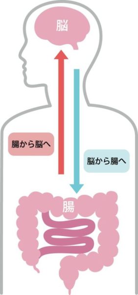 過敏性腸症候群の原因